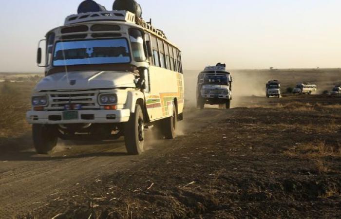 سفير إثيوبيا بموسكو عن الأزمة مع السودان: الحل ممكن في هذه الحالة