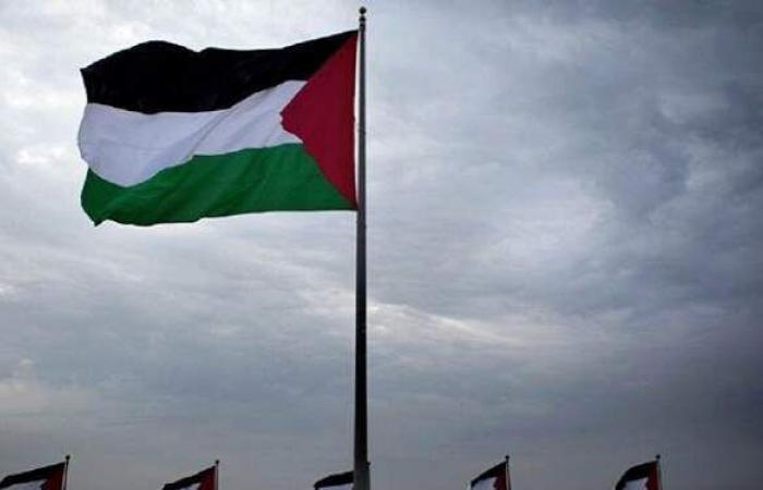 فلسطين توضح حقيقة تقديم شكوى ضد الإمارات في الأمم المتحدة