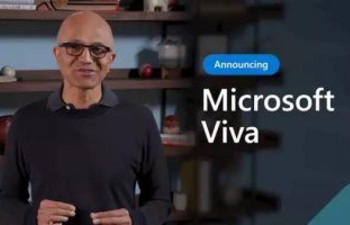 مايكروسوفت تعلن عن منصة Viva.. كل ما تحتاج معرفته عنها