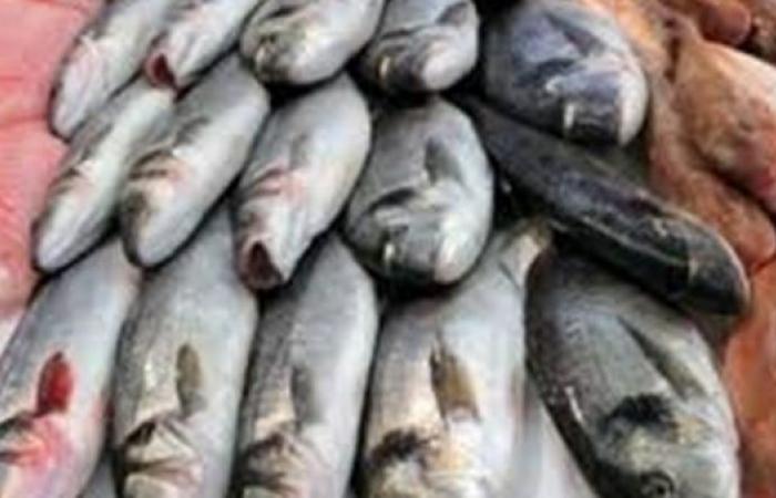 أسعار الأسماك اليوم الاثنين 8-2-2021