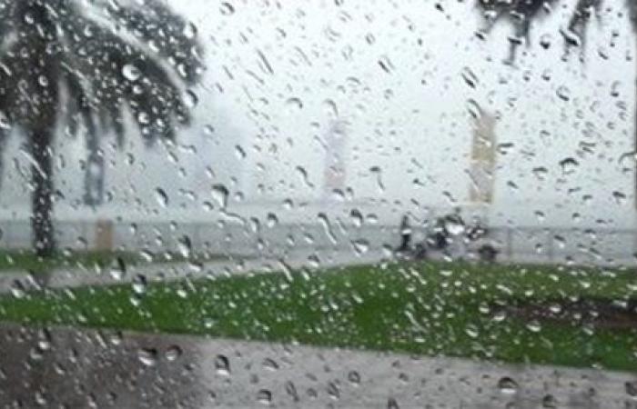 أمطار ورياح.. الأرصاد: موجة تقلبات جوية جديدة تضرب البلاد خلال 48 ساعة.. تفاصيل
