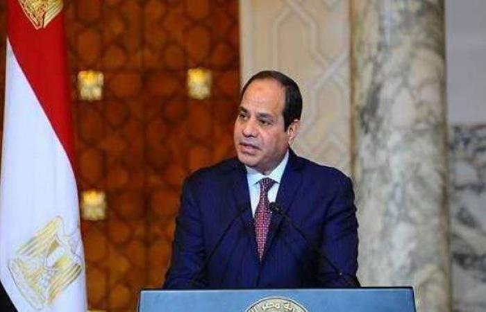 متحدث الرئاسة: هناك تفاهم مشترك بين الجانبين المصري والسوداني حول ملف سد النهضة