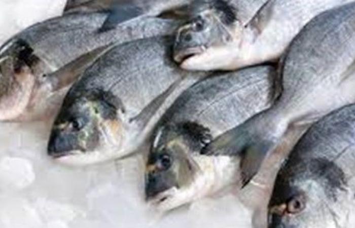 أسعار الأسماك والجمبري بالأسواق اليوم الأحد 7 -3- 2021