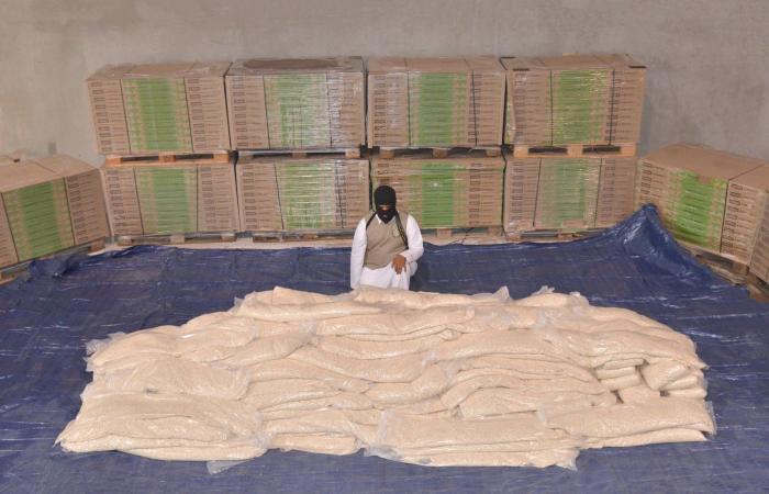السعودية تعلن إحباط تهريب ملايين الأقراص المخدرة إلى المملكة.. فيديو وصور
