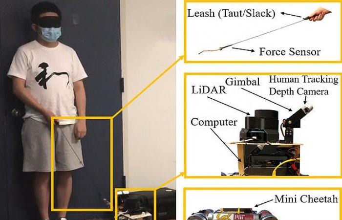 روبوت رباعي الأرجل يمكنه توجيه المكفوفين عبر الممرات الضيقة