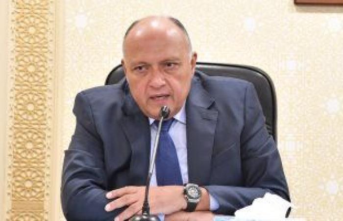 وزير الخارجية يسلم رئيس الاتحاد الإفريقى رسالة من الرئيس السيسى