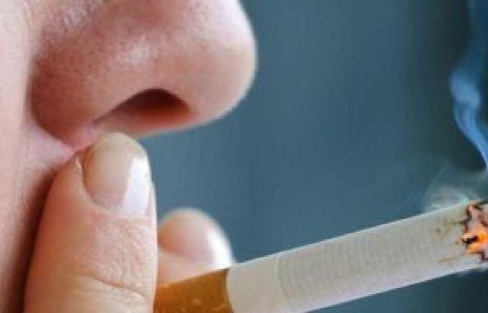 الشرقية للدخان: المصريون استهلكوا أكثر من 50 مليار سيجارة فى 9 أشهر