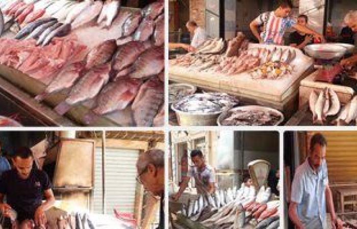 أسعار الأسماك اليوم بسوق العبور للجملة.. انخفاض المكرونة السويسى