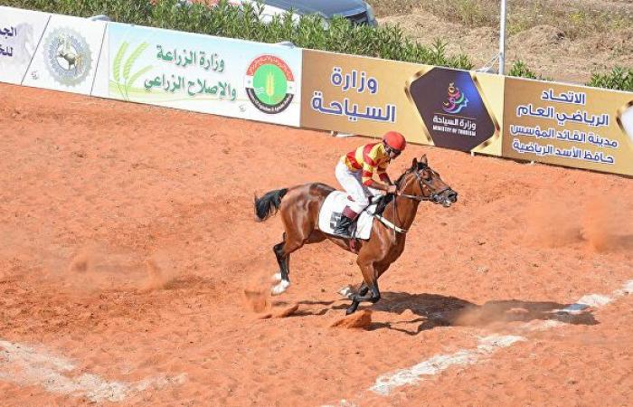 بعد صمت دام 11 عاما... صهيل الخيول العربية الأصيلة يدوّي في مدينة اللاذقية السورية