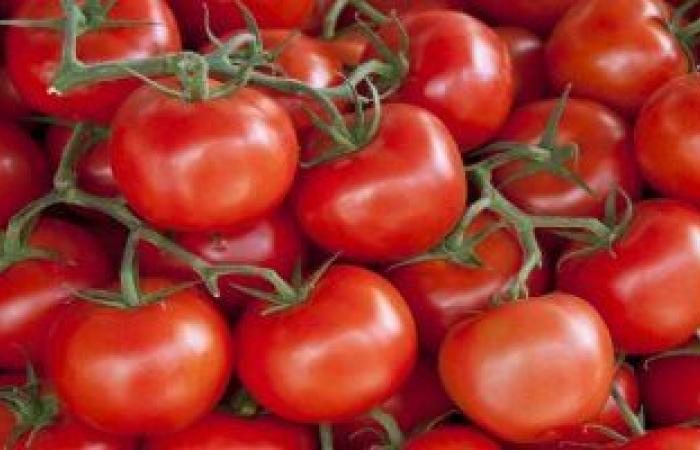 متحدث الزراعة: فيديو إلقاء الطماطم فى مصرف بالشرقية قديم جدا
