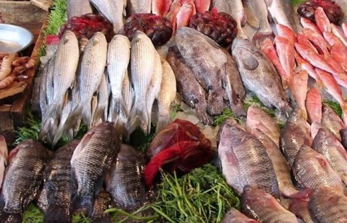 أسعار الأسماك اليوم الجمعة 9-7-2021 في سوق العبور