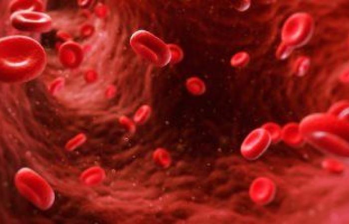 ما العلاقة بين فقر الدم المنجلى وخطر الإصابة بـ كورونا؟