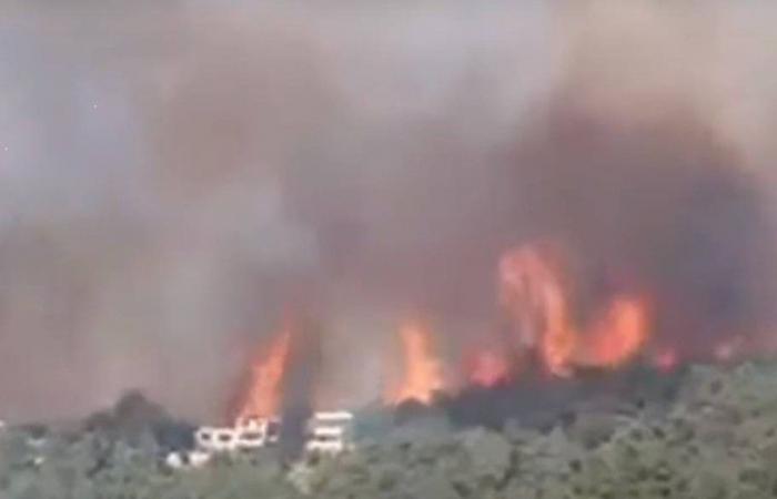 اندلاع حريق هائل شمال لبنان
