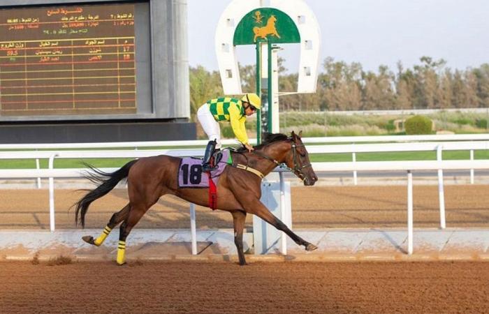 «سباقات الخيل» يقيم حفله الـ13 ضمن موسم المصيف بالطائف