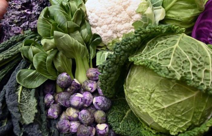 السعودية تضع شروطا جديدة لاستيراد الخضروات والفواكه