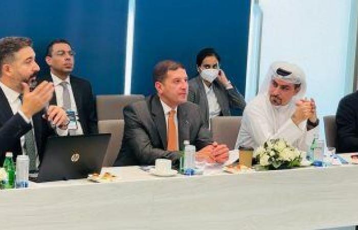 "عبدالوهاب" يبحث مع عدد من الشركات الإماراتية تنفيذ استثمارات جديدة فى مصر