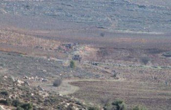 وكالة الأنباء الفلسطينية: مستوطنون يقتلعون أشتال زيتون جنوب غرب بيت لحم