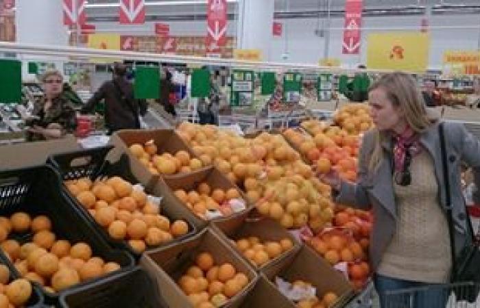 شعبة الخضروات والفاكهة: استقرار أسعار فاكهة الشتاء هذا الموسم