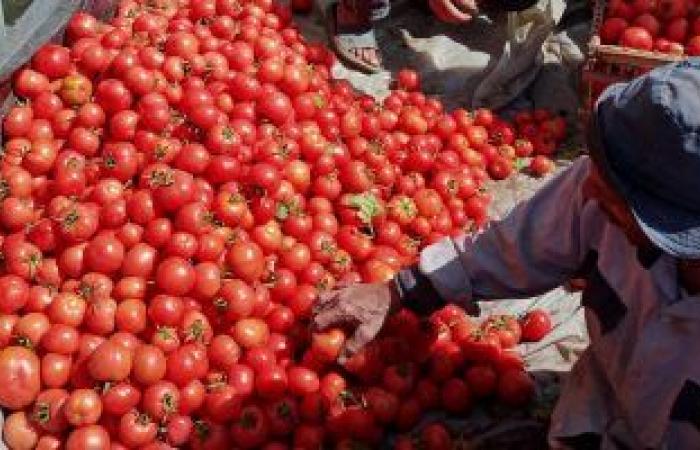 انخفاض أسعار الطماطم والبطاطس والفلفل الألوان فى سوق العبور للجملة