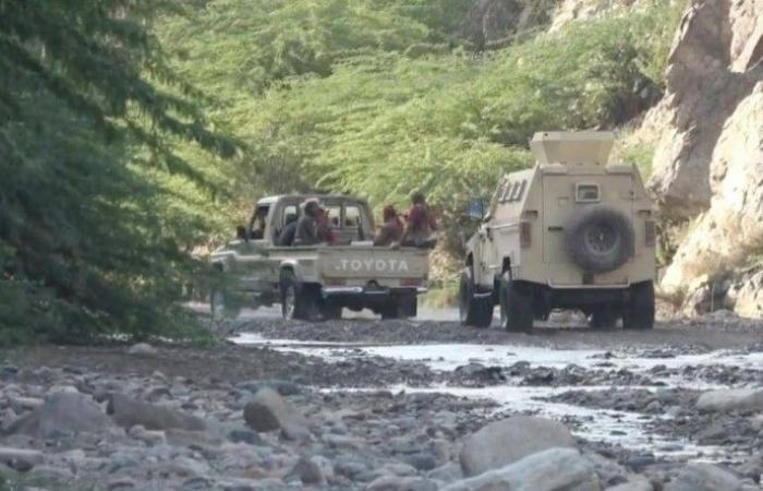الجيش اليمني يتقدم في تعز والحديدة.. ومعارك عنيفة في مأرب والضالع