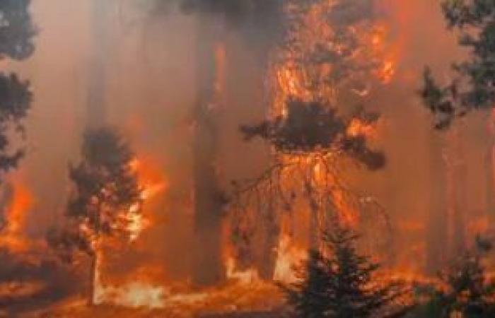 سفارة الأردن لدى واشنطن تحذر الأردنيين فى كولورادو بسبب حرائق الغابات