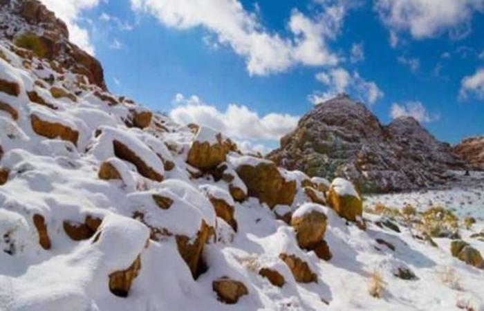 ثلوج جبل اللوز في تبوك تبهر مواطنًا قطريًا: ما صدقنا أننا بالمملكة
