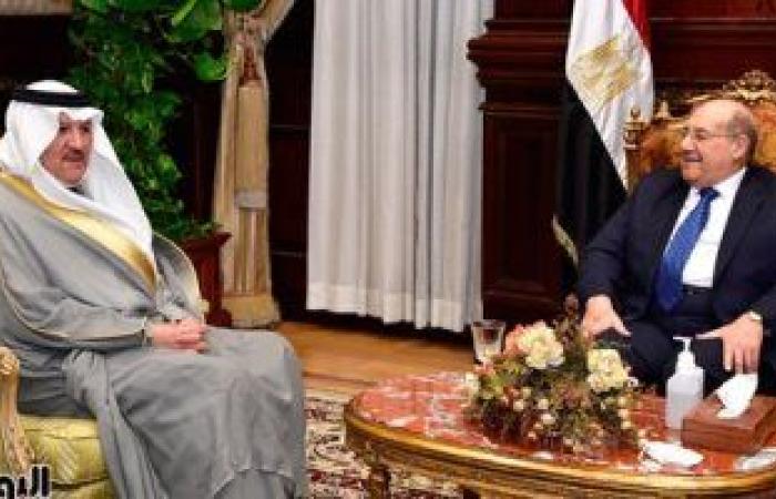 رئيس مجلس الشيوخ يلتقى سفير المملكة العربية السعودية بالقاهرة
