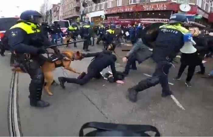 أمستردام: الشرطة تفرق المحتجين على قيود كورونا بالهراوات والكلاب