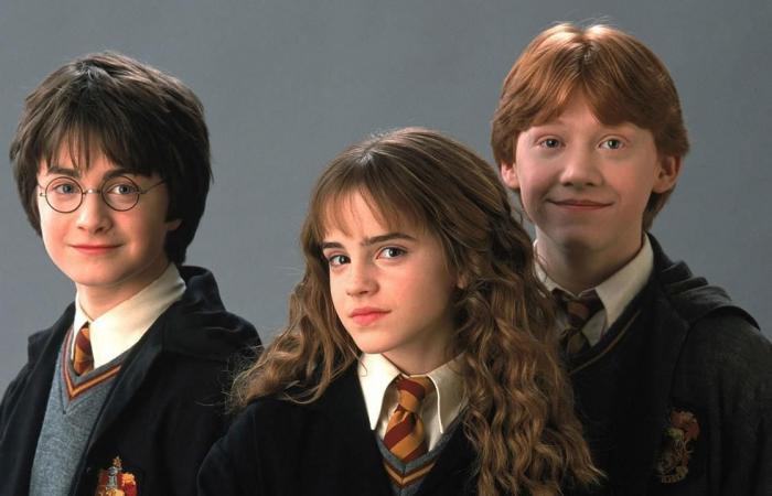 شركة EA ألغت لعبة Harry Potter جماعية ضخمة لِاعتقادها أن شعبية السلسلة لن تدوم لفترة طويلة