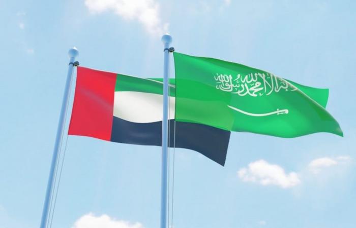 الإمارات تدين محاولة الحوثيين استهداف المملكة: نقف صفًا واحدًا مع السعودية
