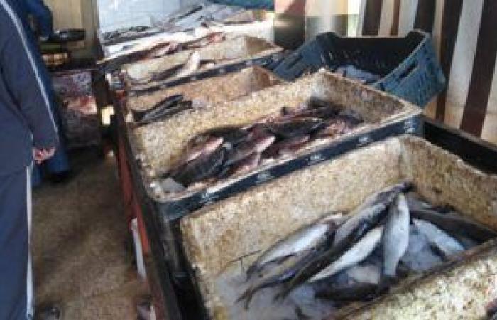 شعبة الأسماك تكشف تطورات الأسعار فى الأسواق اليوم