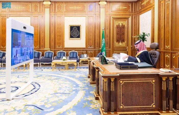 مجلس الوزراء: تحديد يوم 10 فبراير من كل عام يومًا للنمر العربي