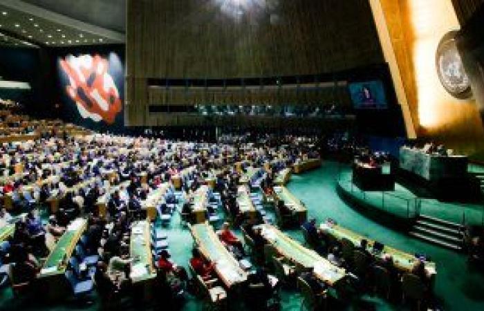 الأمم المتحدة: مصر تلعب دورا رائدا فى التخفيف من آثار تغير المناخ