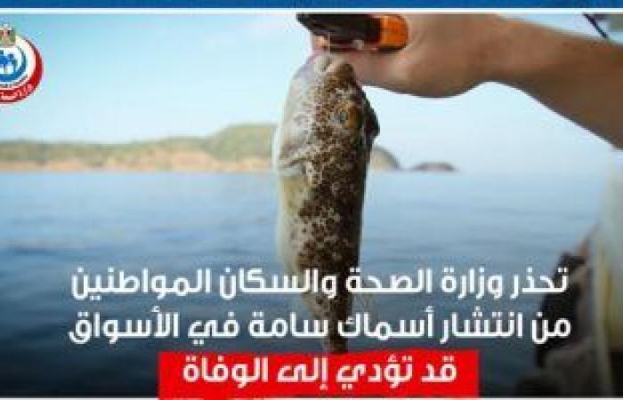 الصحة تحذر من تناول أو صيد سمكة القراض السامة: ليس لسمها علاج.. فيديو