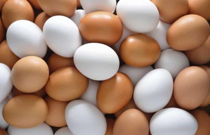 توقعات بزيادة طفيفة في أسعار البيض خلال أيام