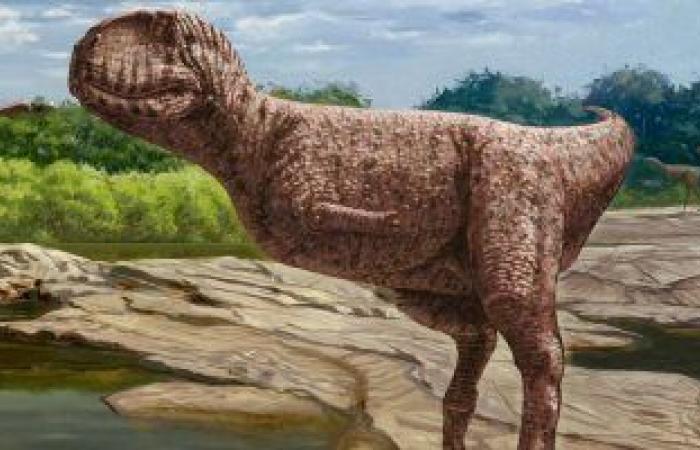 باحثة حفريات: لم نتوصل لجنس ونوع الديناصور المكتشف بالواحات البحرية