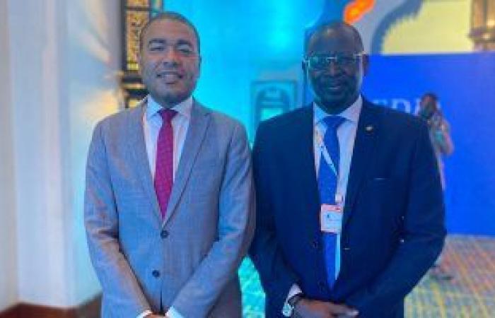 سفير السنغال بالقاهرة: الإرهاب وتغير المناخ أبرز التحديات فى قارة افريقيا