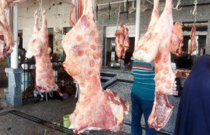 أسعار اللحوم فى مصر اليوم.. البقرى من 160 إلى 195 جنيها للكيلو