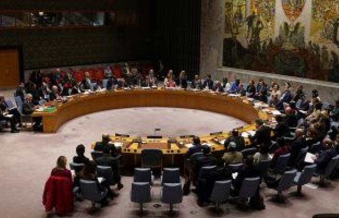 مجلس الأمن يعقد جلسة حول العدوان الإسرائيلى على غزة الاثنين القادم