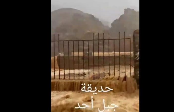 السيول تغمر حديقة جبل أُحد في المدينة المنورة