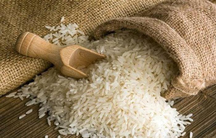 مصدر بـ "التموين" يكشف حصيلة توريد الأرز بعد شهر مند بدء الموسم