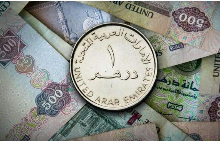 سعر الدرهم الإماراتي اليوم الثلاثاء 1 نوفمبر 2022 مقابل الجنيه المصري بنهاية التعاملات البنكية