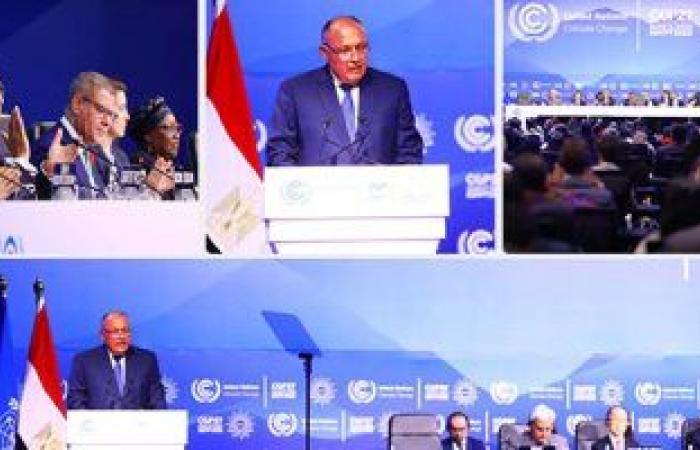 رئيس "صحة الشيوخ": انعقاد قمة المناخ في مصر إنجاز تاريخي