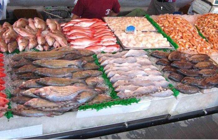 أسعار الأسماك فى الأسواق المصرية اليوم الأحد 27-11- 2022