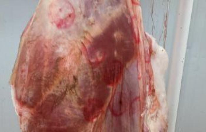 سعر اللحوم فى الأسواق اليوم.. اللحم الضأن يتراوح بين 170 و200 جنيه