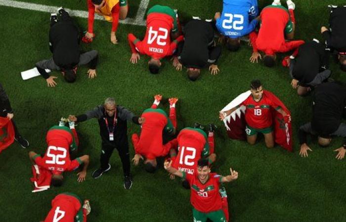 أبرزهم شاكيرا وإيلون ماسك.. نجوم العالم يحتفلون بفوز المغرب التاريخي على البرتغال