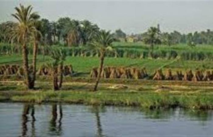 ارتفاع مساحة الاراضي الواقعة في حوض النيل 0.3٪