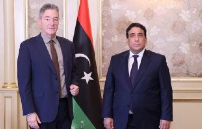 "المنفى" يبحث مع سفير ألمانيا فى ليبيا سبل إجراء الانتخابات
