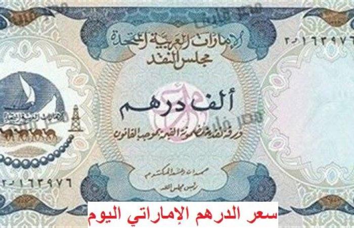 سعر الدرهم الإماراتي اليوم.. وأسعار العملات الأجنبية والعربية في البنك المركزي