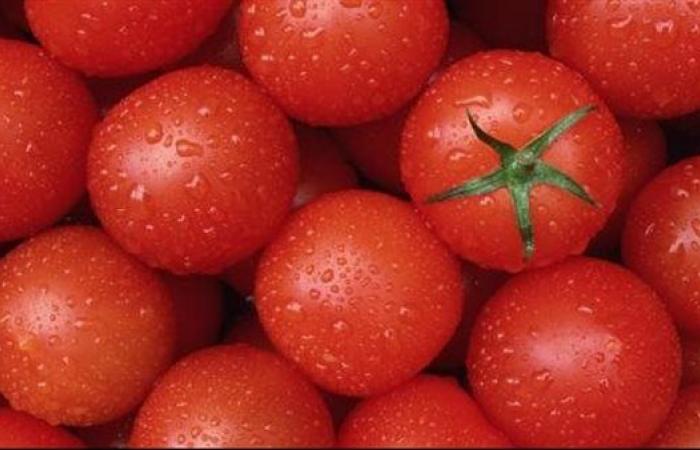 فوائد الطماطم،غنية بفيتامين سي ومضادة للأكسدةالخميس 25/مايو/2023 - 07:58 م
الطماطم من الخضروات الموجودة باستمرار في كل منزل لإستخدامها فى جميع أغراض الطهى، ولها قيمة غذائية عالية.